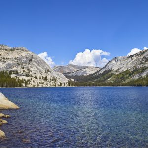 Yosemite 1683