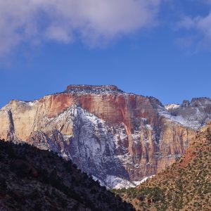 Zion 607