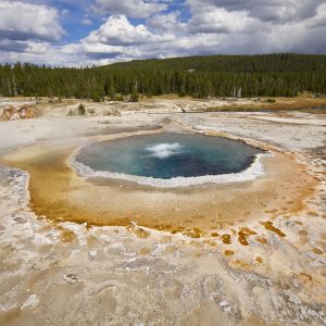 Crested Pool with buffalo footprints Yellowstone National Park