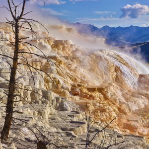 Yellowstone 4725